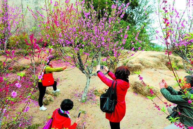 Res 04_attpic _brief