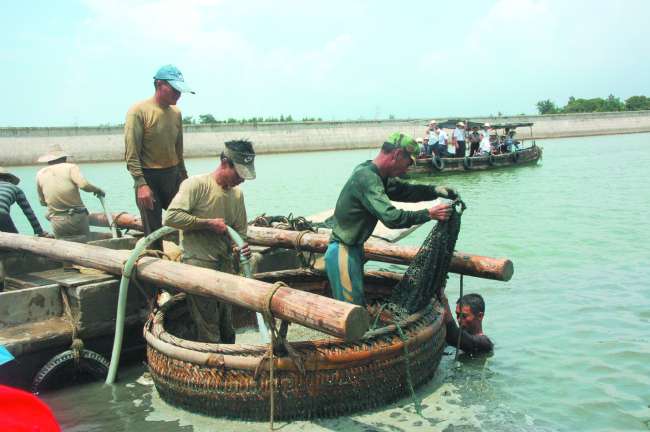 Res 01_attpic _brief