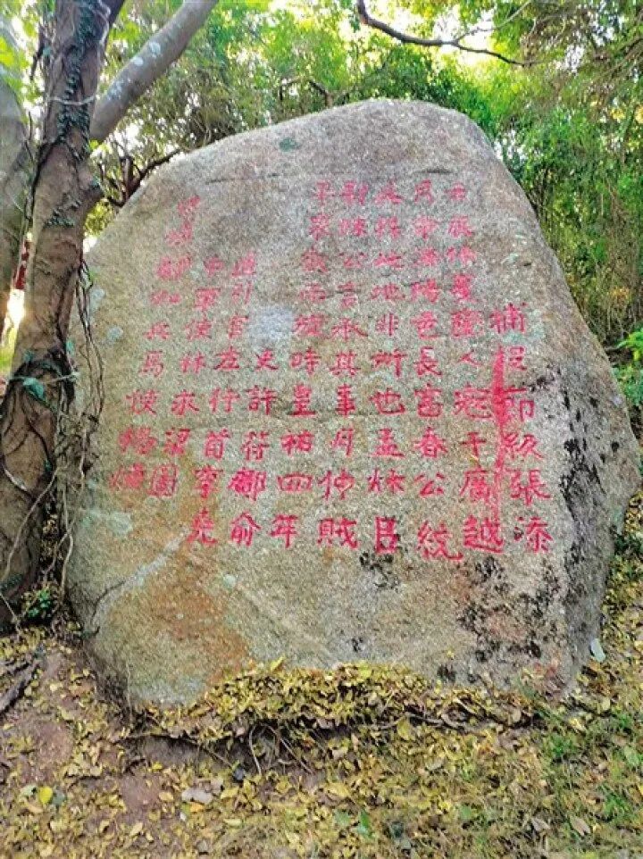 圖片